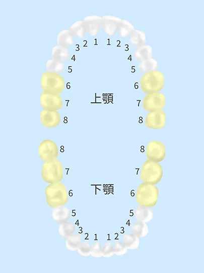 2024年6月から保険適用範囲が変更